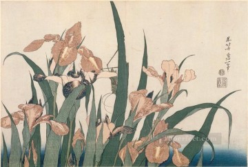  irises Oil Painting - irises and grasshopper Katsushika Hokusai Ukiyoe